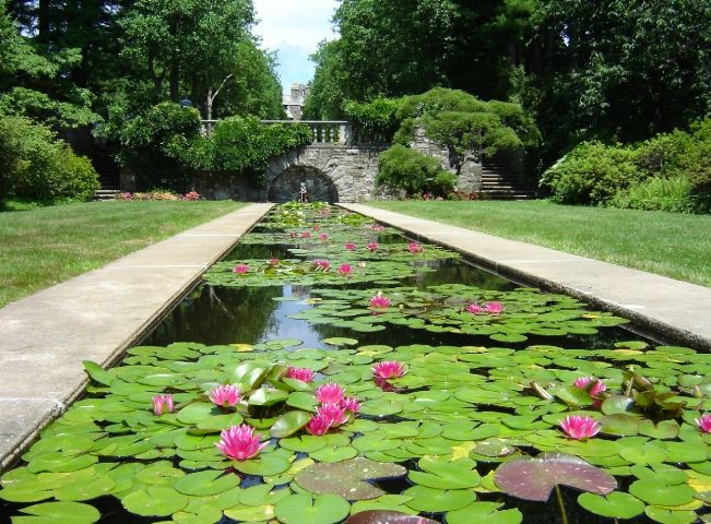 botanical gardens