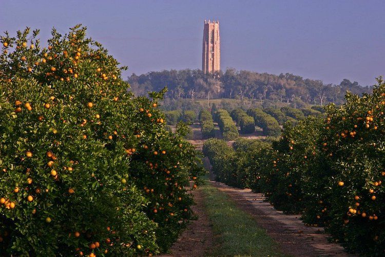 Bok Tower Garden