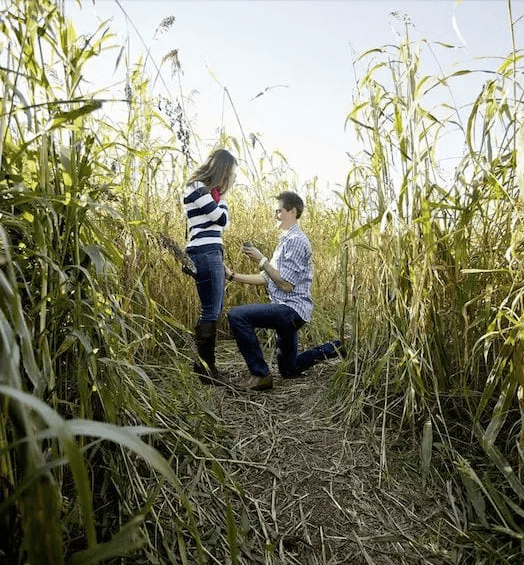 Romantic Autumn Proposals: Creative Ways to Pop the Question in the Fall  image1