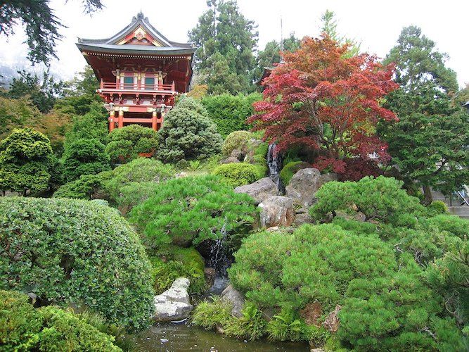 Japanese Tea Garden in San Francisco