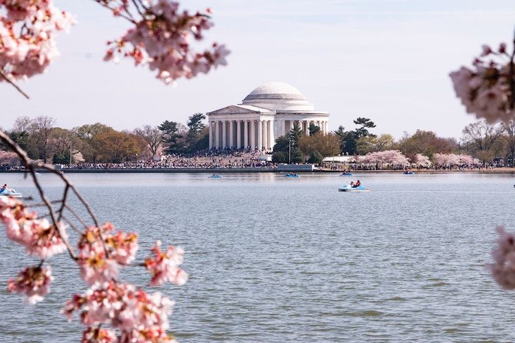 Tidal Basin