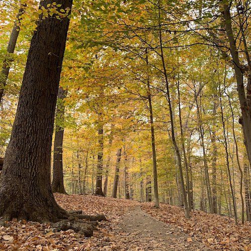 Rock Creek Park